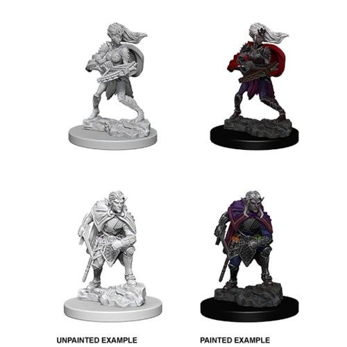 Wizkids MINIS: D&D: DROW