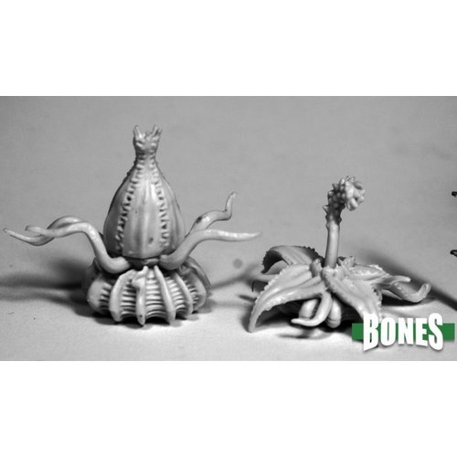 Reaper Miniatures BONES: DEATH STAR LILIES (2) Reaper Miniatures BONES: DEATH STAR LILIES (2)