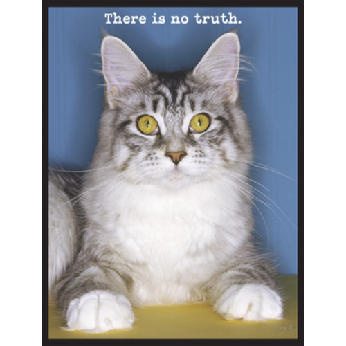 MAGNETIC POETRY MAGNET: TRUTH KITTY MAGNETIC POETRY MAGNET: TRUTH KITTY