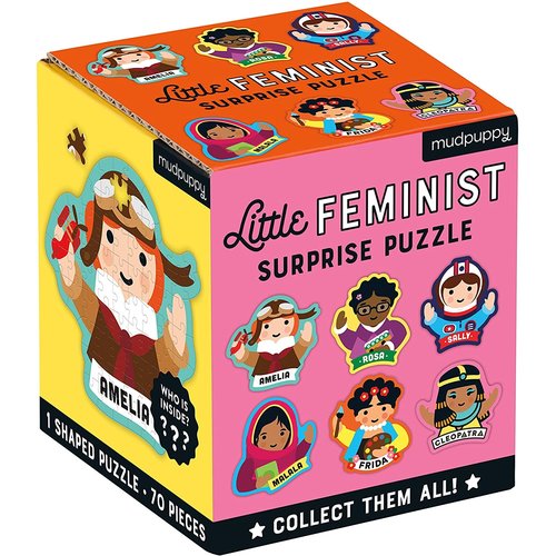 HACHETTE/CHRONICLE/MUDPUPPY MU70 LITTLE FEMINIST HACHETTE/CHRONICLE/MUDPUPPY MU70 LITTLE FEMINIST