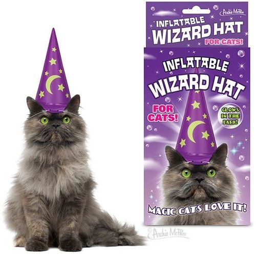 Archie McPhee INFLATABLE CAT WIZARD HAT Archie McPhee INFLATABLE CAT WIZARD HAT