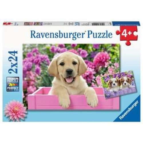 Ravensburger RV24(x2) ME & MY PAL Ravensburger RV24(x2) ME & MY PAL