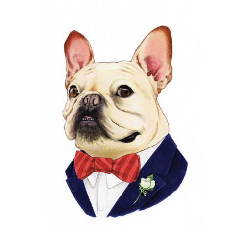 TATTLY TATTOOS: FRENCH BULLDOG TATTLY TATTOOS: FRENCH BULLDOG