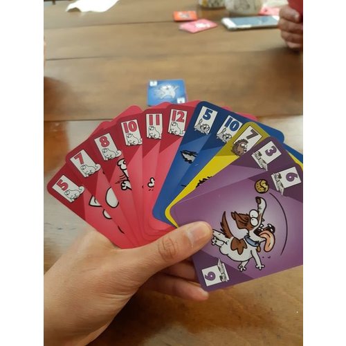 Steve Jackson Games SIMONS CAT CARD GAME