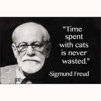 MAGNET: TIME SPENT WITH CATS
