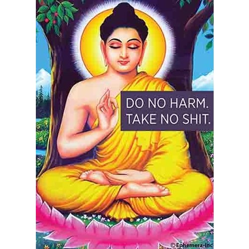 EPHEMERA MAGNET: DO NO HARM TAKE NO SHIT EPHEMERA MAGNET: DO NO HARM TAKE NO SHIT