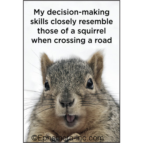 EPHEMERA MAGNET DECISION SQUIRREL EPHEMERA MAGNET DECISION SQUIRREL
