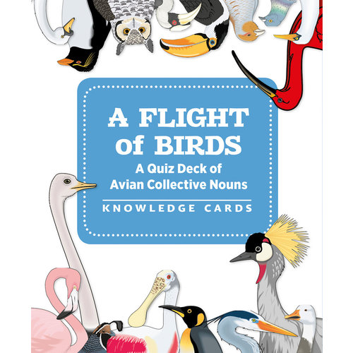 POMEGRANATE KNOWLEDGE CARDS: A FLIGHT OF BIRDS POMEGRANATE KNOWLEDGE CARDS: A FLIGHT OF BIRDS