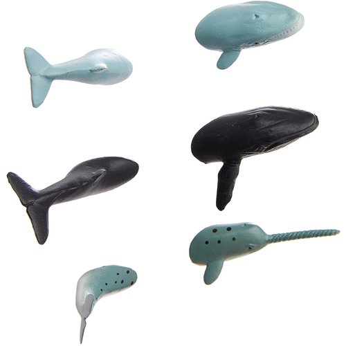 Kikkerland MAGNET WHALE BUTTS (6) Kikkerland MAGNET WHALE BUTTS (6)