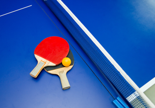 Table Tennis / Ping Pong