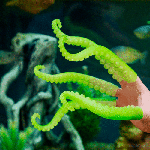 Archie McPhee FINGER TENTACLES GLOW-IN-THE-DARK Archie McPhee FINGER TENTACLES GLOW-IN-THE-DARK