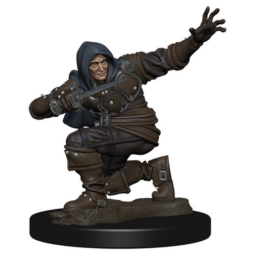 Wizkids MINIS: PATHFINDER BATTLES: HUMANE MALE ROGUE Wizkids MINIS: PATHFINDER BATTLES: HUMANE MALE ROGUE
