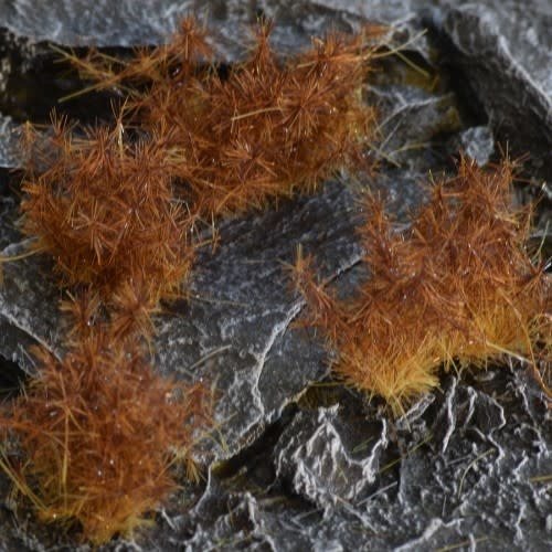 Gamers Grass GAMERS GRASS: SPIKEY BROWN TUFTS (12mm) Gamers Grass GAMERS GRASS: SPIKEY BROWN TUFTS (12mm)