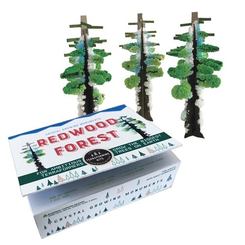 COPERNICUS TOYS CRYSTAL GROWING - REDWOOD FOREST COPERNICUS TOYS CRYSTAL GROWING - REDWOOD FOREST