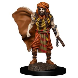 Wizkids MINIS: ICONS OF THE REALMS: HUMAN MALE DRUID