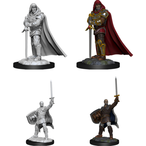 Wizkids MINIS: D&D: HUMAN MALE PALADIN Wizkids MINIS: D&D: HUMAN MALE PALADIN