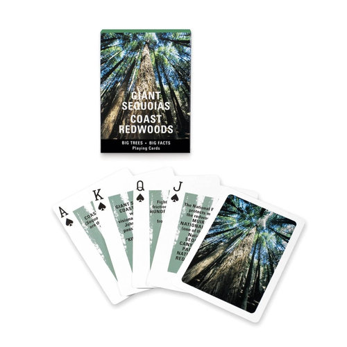 Golden Gate National Park Association GIANT SEQUOIAS CARDS Golden Gate National Park Association GIANT SEQUOIAS CARDS