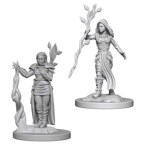 Wizkids MINIS: D&D: HUMAN FEMALE DRUID