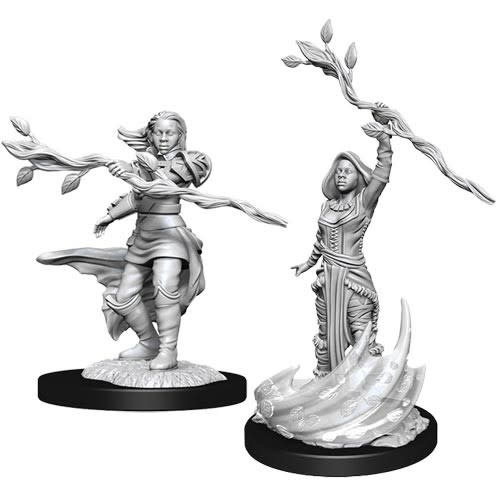 Wizkids MINIS: D&D: HUMAN FEMALE DRUID (BRANCH STAFF) Wizkids MINIS: D&D: HUMAN FEMALE DRUID (BRANCH STAFF)