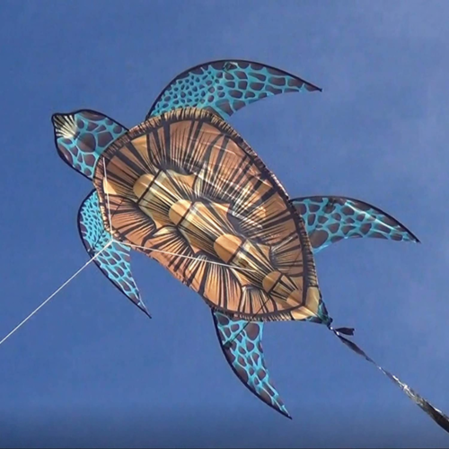 WindNSun Kites KITE SEALIFE SEATURTLE 40"