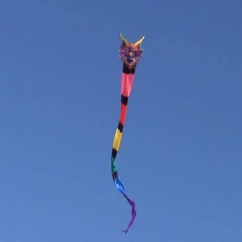 WindNSun Kites KITE SERPENT 2D SUPERSIZE 305"