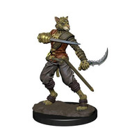 MINIS: ICONS OF THE REALMS: TABAXI MALE ROGUE