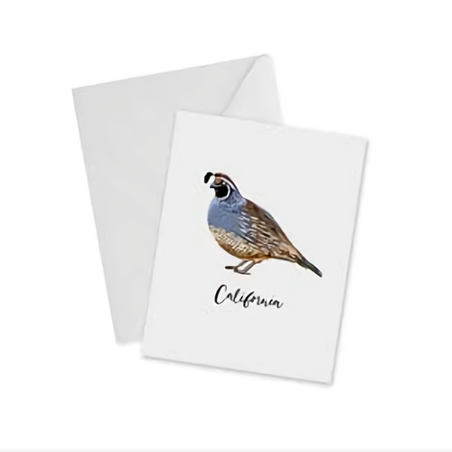 Doodles Ink Designs CARD - QUAIL CALIFORNIA Doodles Ink Designs CARD - QUAIL CALIFORNIA