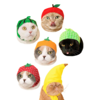 BLIND BOX CAT CAP FRUIT