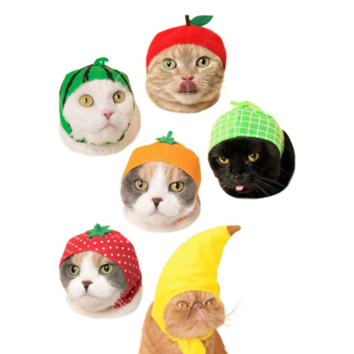 Kitan Club BLIND BOX CAT CAP FRUIT Kitan Club BLIND BOX CAT CAP FRUIT