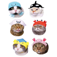 BLIND BOX CAT CAP AQUARIUM VOLUME 2