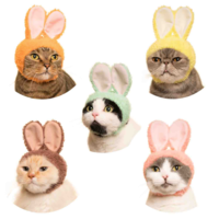 BLIND BOX CAT CAP RABBIT