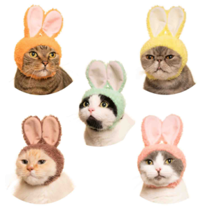 Kitan Club BLIND BOX CAT CAP RABBIT