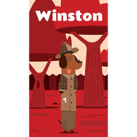 WINSTON