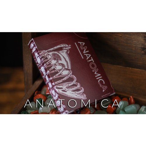 Curio Playing Cards ANATOMICA PLAYING CARDS