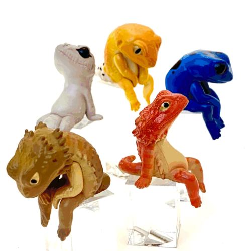 Yell Japan BLIND BOX SITTING LIZARDS & AMPHIBIANS Yell Japan BLIND BOX SITTING LIZARDS & AMPHIBIANS