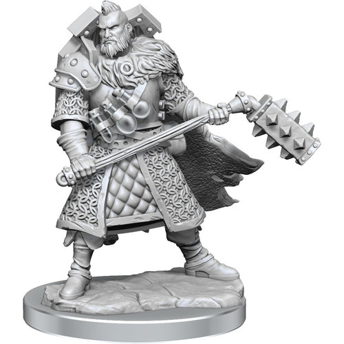 Wizkids MINIS: D&D: FRAMEWORKS HUMAN FIGHTER MALE