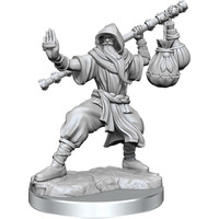 MINIS: D&D: FRAMEWORKS HUMAN MONK MALE