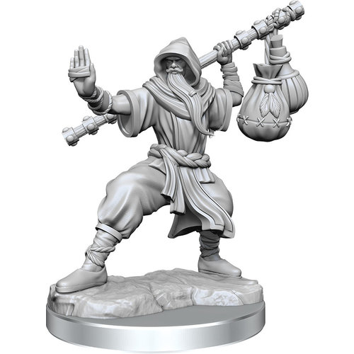 Wizkids MINIS: D&D: FRAMEWORKS HUMAN MONK MALE