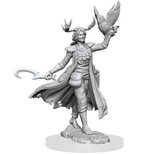 Wizkids MINIS: D&D: FRAMEWORKS HUMAN DRUID FEMALE