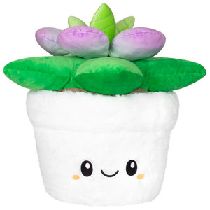 SQUISHABLE SQUISHABLE 15" SUCCULENT