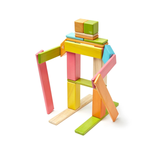 Tegu (faire.com) 24 PIECE MAGNETIC WOODEN BLOCK SET