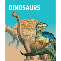 KNOWLEDGE CARDS: DINOSAURS