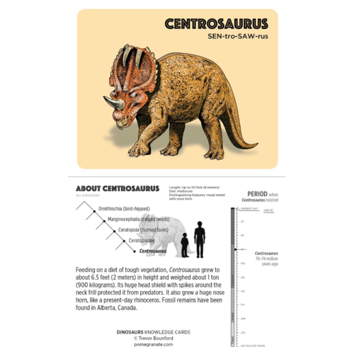 Pomegranate KNOWLEDGE CARDS: DINOSAURS