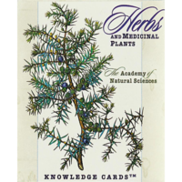 KNOWLEDGE CARDS: HERBS & MEDICINAL PLANTS