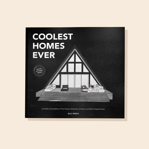 Paige Tate & Co COLORING BOOK COOLEST OF HOMES