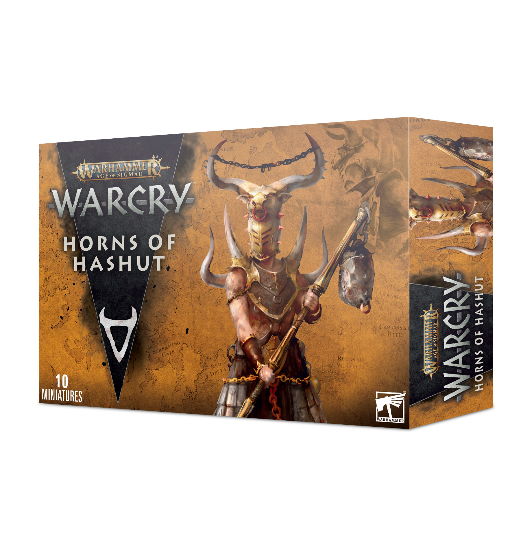  Games Workshop Age of Sigmar: Warcry Cypher Lords Warband :  Toys & Games