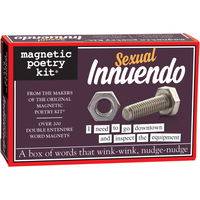 MAGNETIC POETRY SEXUAL INNUENDO