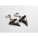 Diablo Organics Diablo Organics Fossil Mako teeth on Large Classic Coil