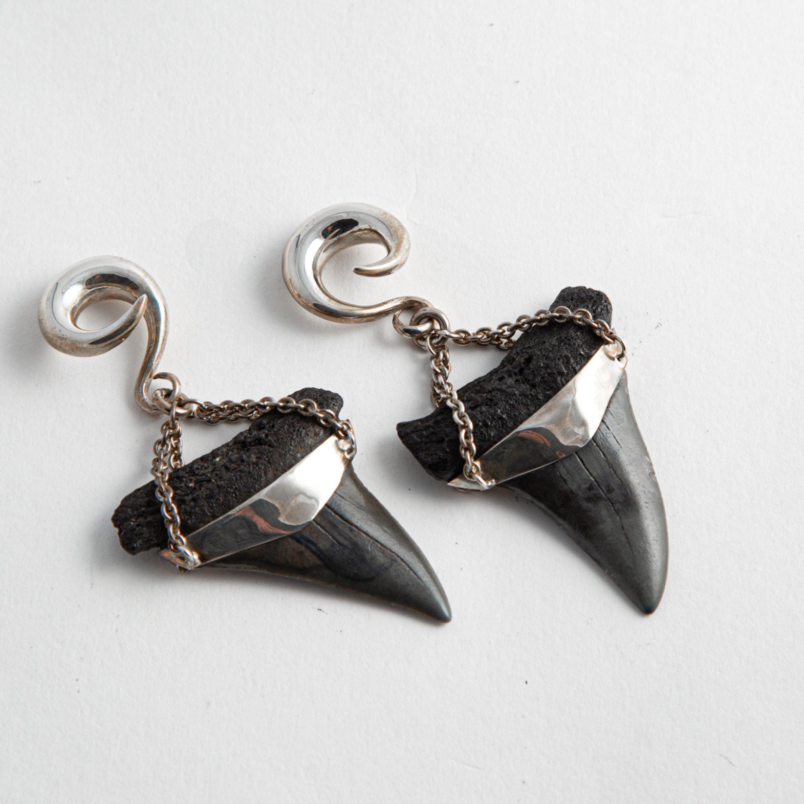 Diablo Organics Diablo Organics silver-set fossil Mako shark teeth on large classic coil