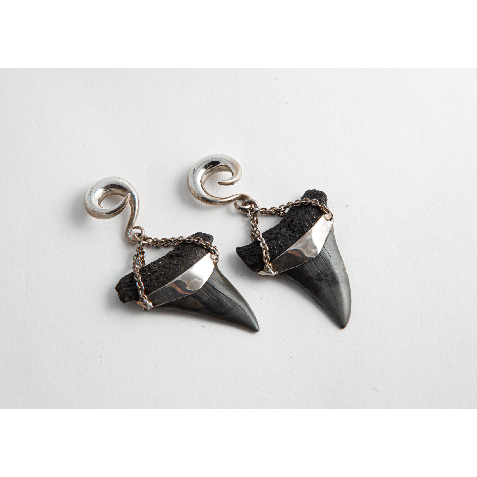 Diablo Organics Diablo Organics silver-set fossil Mako shark teeth on large classic coil
